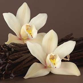 Vanilla & Tonka Bean