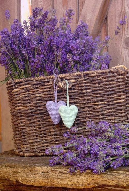 Rich Amber & Lavender