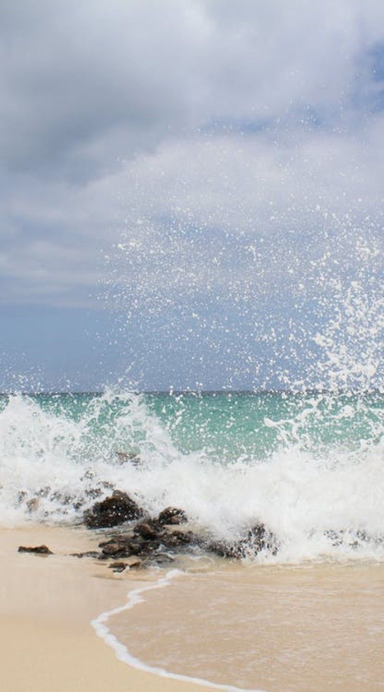 Fresh Sea Breeze
