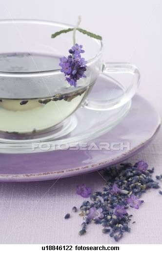 Fresh Lavender and White Tea