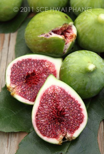Green Figs and Cedar