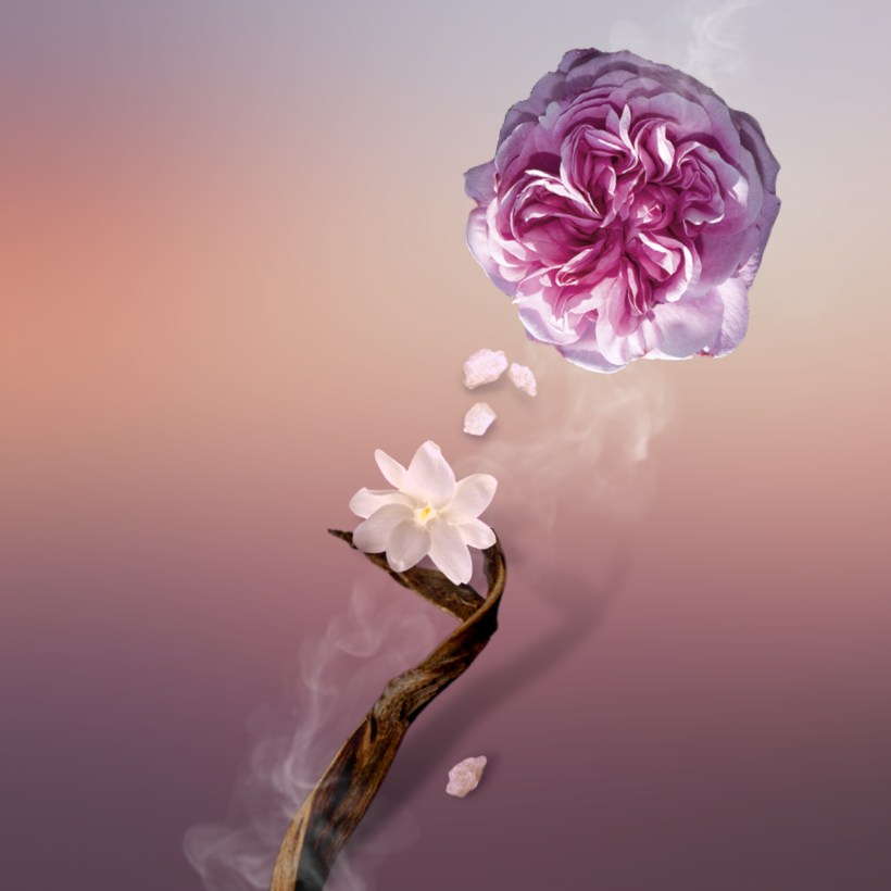 Royal Oud