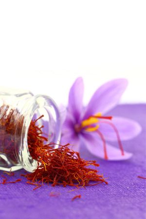 Spicy Saffron