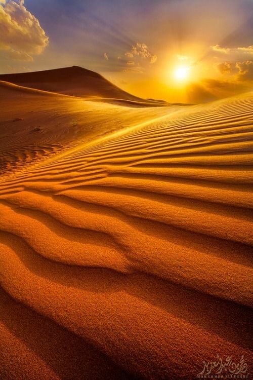 Egyptian Gold