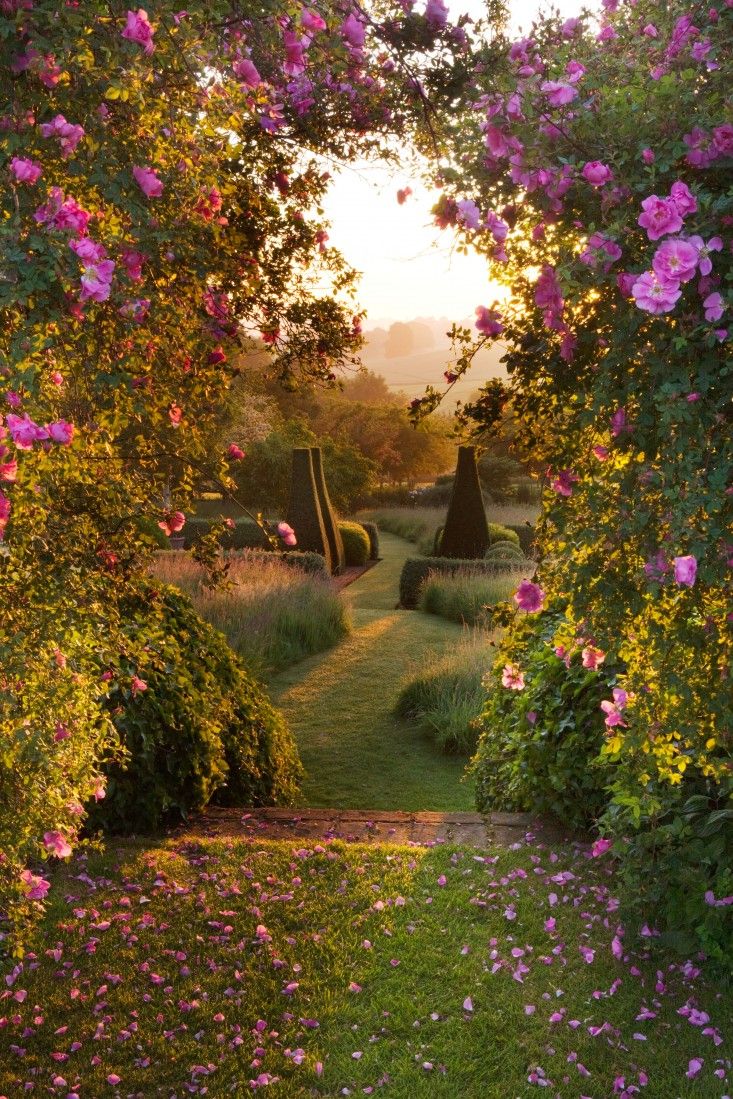 Mystical Garden