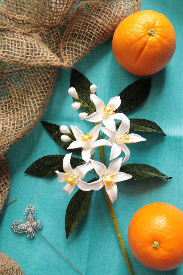 Orange Blossom & Amber